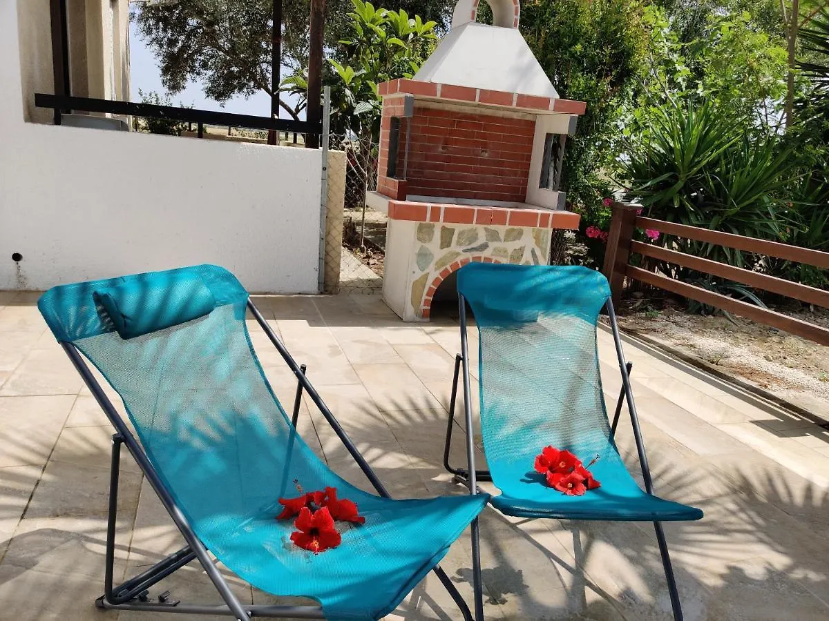 Palm Garden Paradise Perivolia